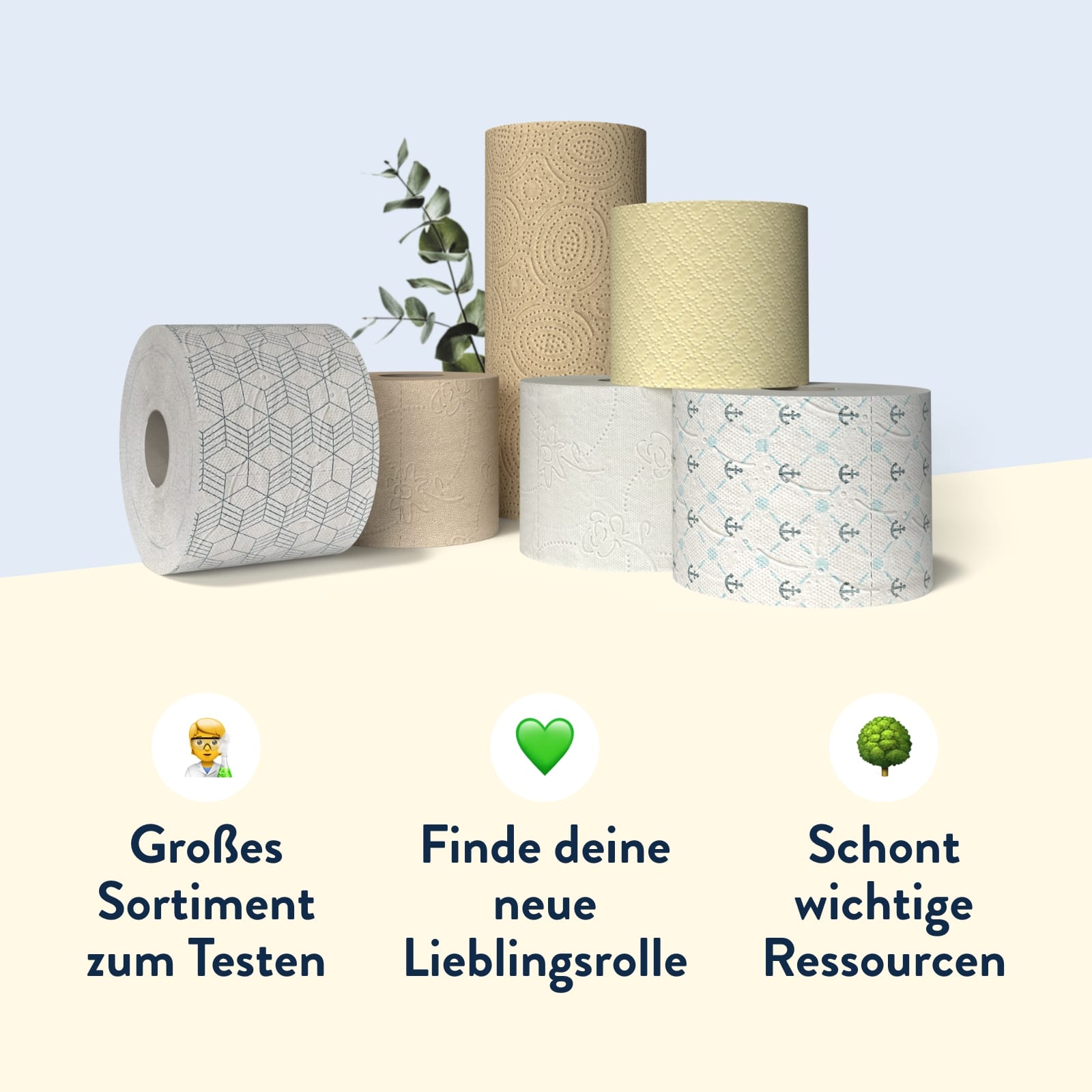 Auswahl um deinen Klopapier-Favoriten zu finden