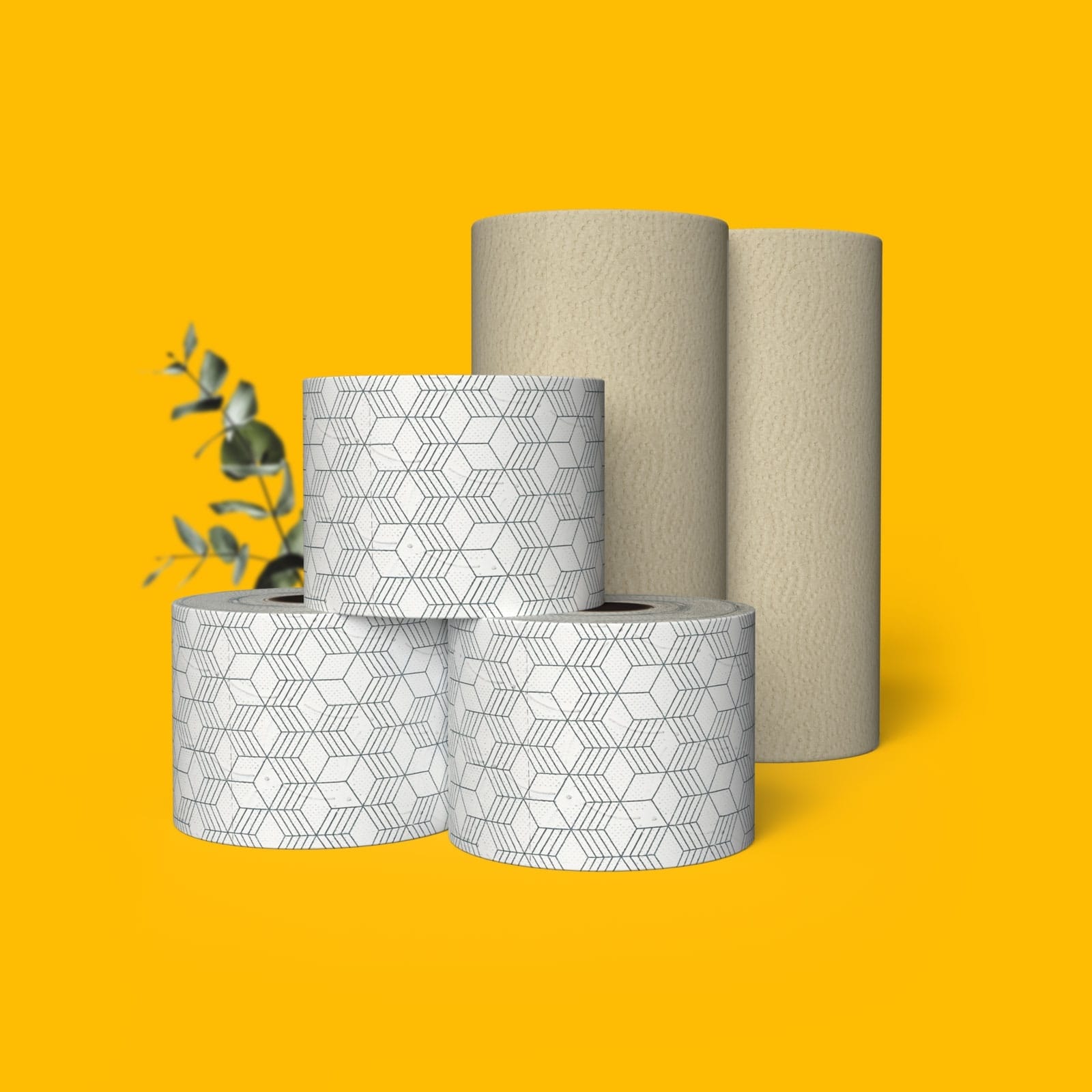 Spar Set Home Nicecube