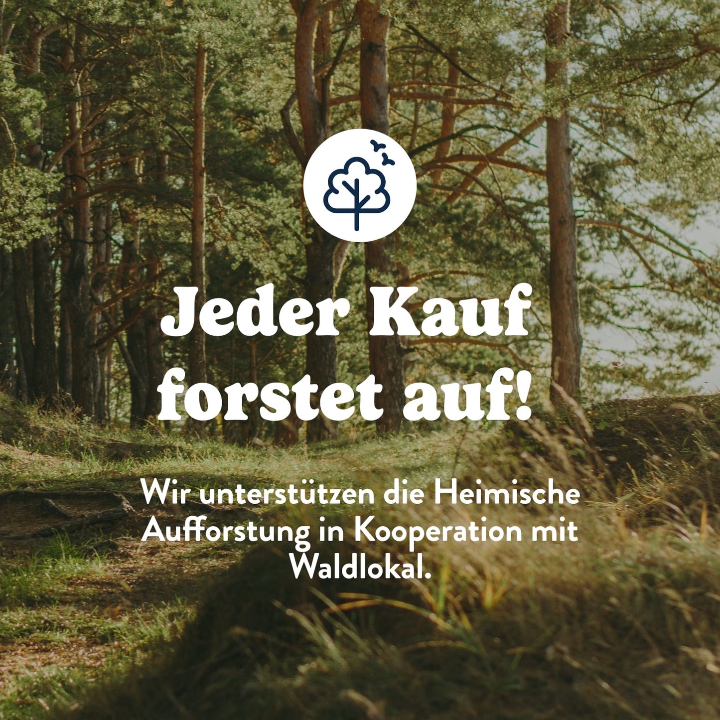 Küchenrolle: Pure